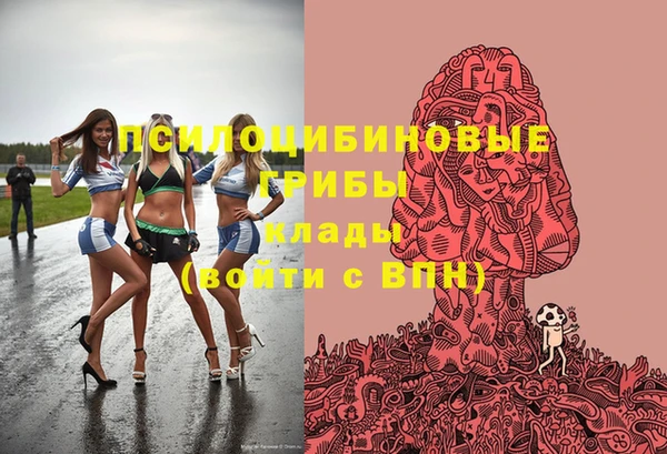 винт Дмитров