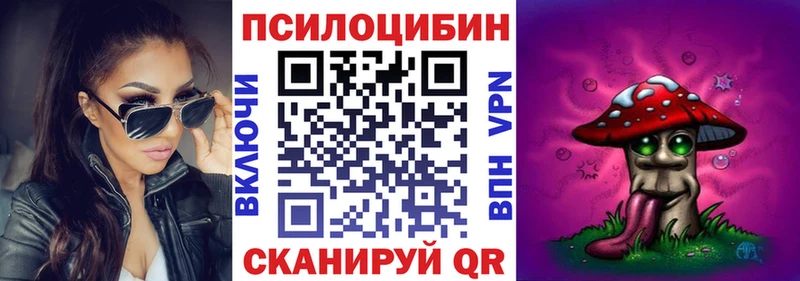 kraken вход Вытегра Псилоцибиновые грибы MAGIC MUSHROOMS