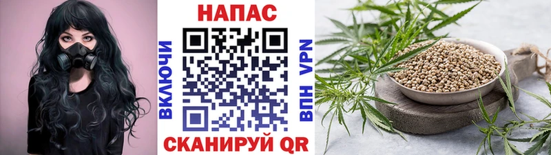 Канабис MAZAR  Вытегра 